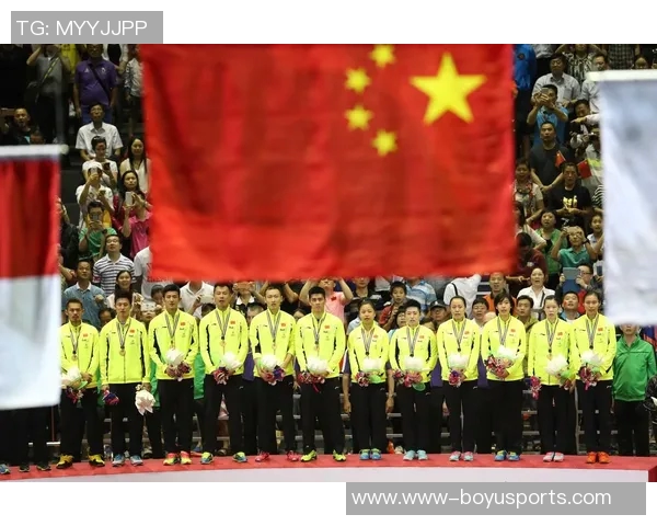 运动数据南京羽毛球队杯赛征程回顾与突破成就的深度剖析